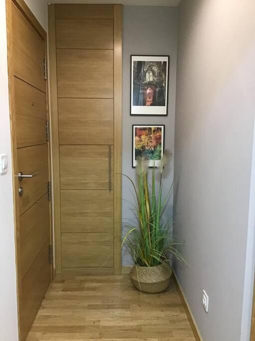 Lerez House Pontevedra公寓 外观 照片